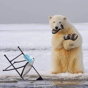 Meet your Posher, Jon